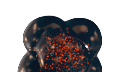 protected image left-bottom