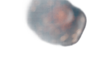 protected image left-top