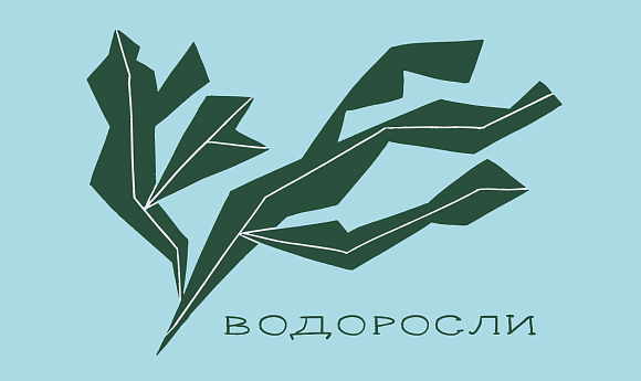Водоросли: полезные свойства для кожи и применение в косметике