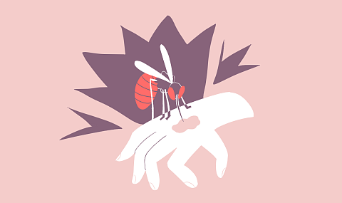 Руки чешутся: как снять зуд от укусов насекомых